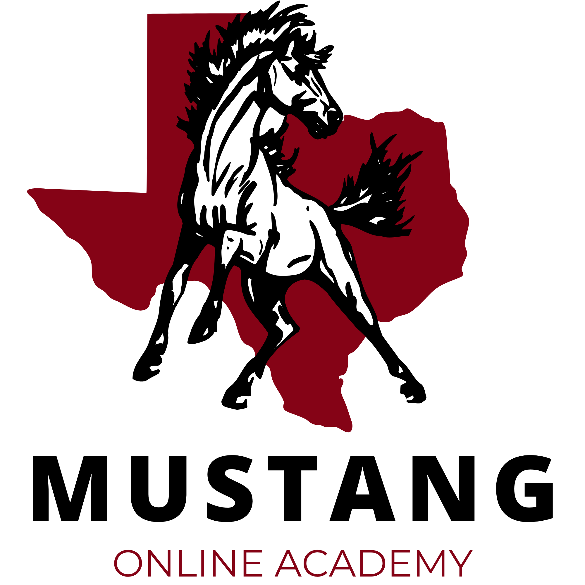 Mustang Online Academy
